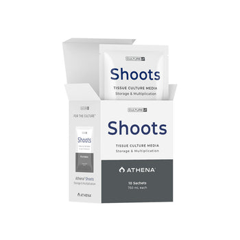 Athena Shoots